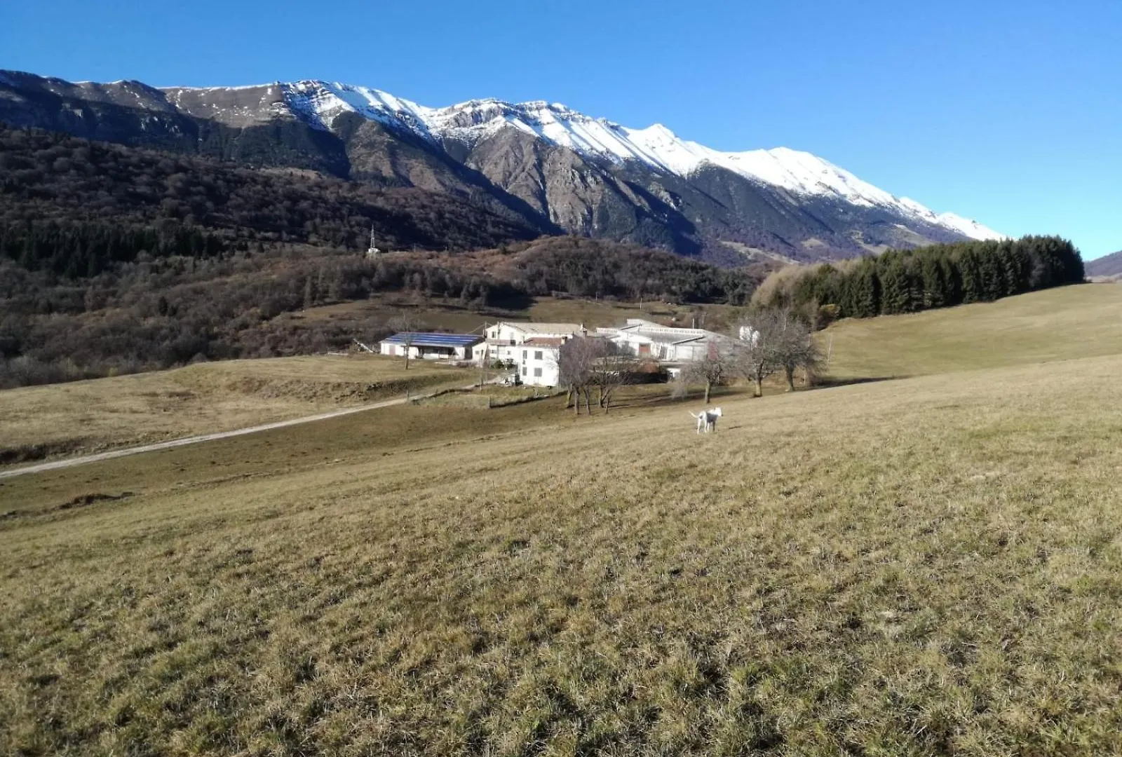Agriturismo Preele Villa Ferrara di Monte Baldo 0*,  İtalya