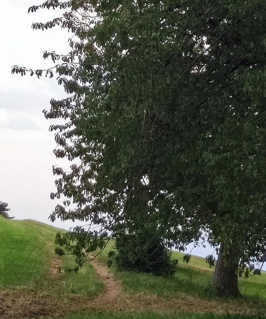 Agriturismo Preele Villa Ferrara di Monte Baldo